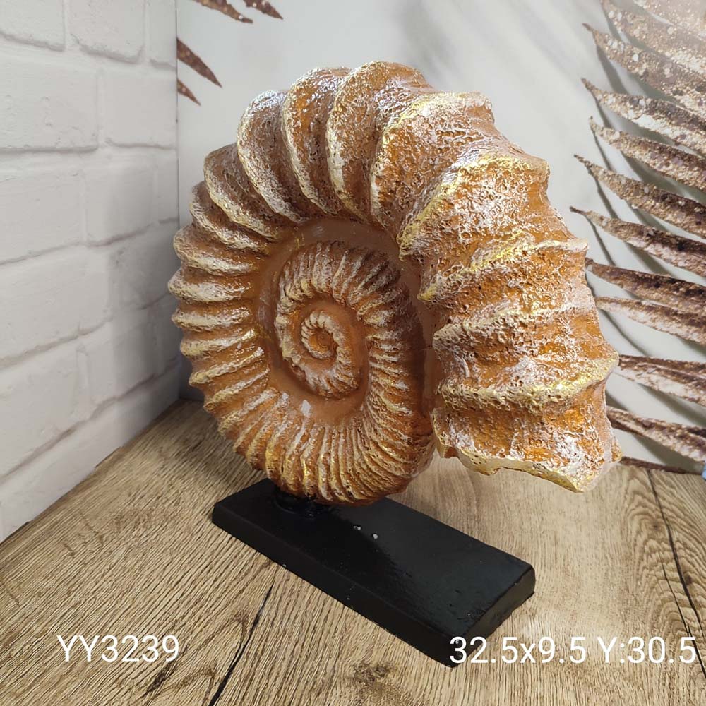 YY3239 Deniz Kabuğu İçe Kıvrımlı YY3239 Deniz Kabuğu İçe Kıvrımlı