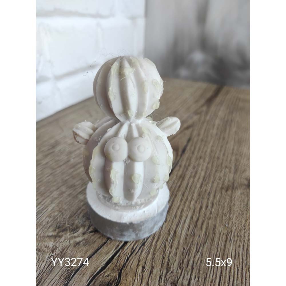 YY3274 Altı Tabanlı Gözlü Kaktüs YY3274 Altı Tabanlı Gözlü Kaktüs