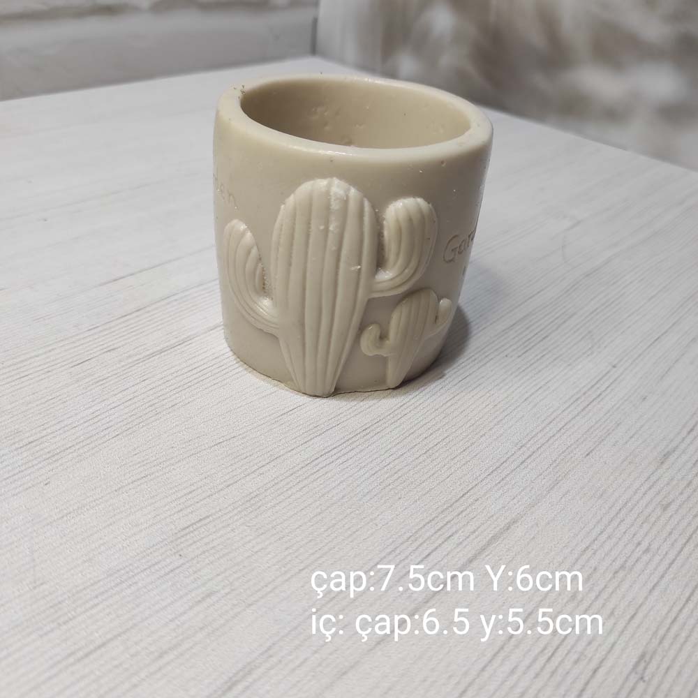 YY0986-Sukulent Motifli Saksı Silikon Kalıp
